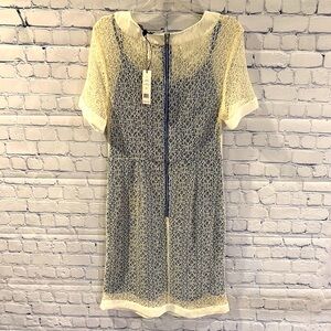 Elegant Cream and Blue Lace Dress